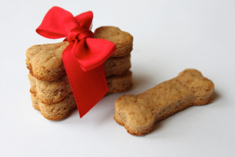 Ricetta dei biscottini per cani vegani